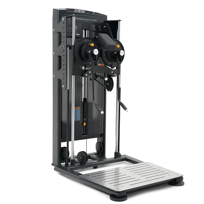 Insight Fitness | RE8034 STANDING MULTI FLIGHT