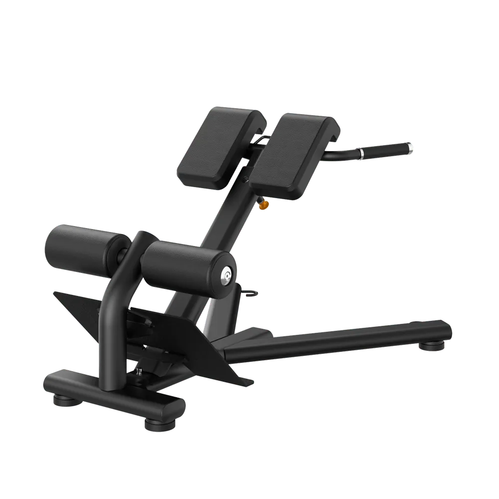 BACK EXTENSION | RE6010