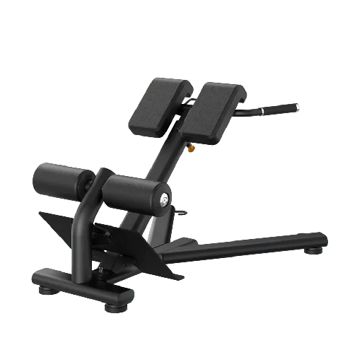 BACK EXTENSION | RE6010