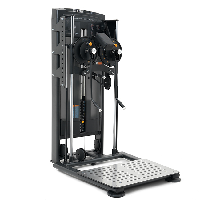 Insight Fitness | RE8034 STANDING MULTI FLIGHT