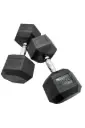  Hex Dumbbells pair 