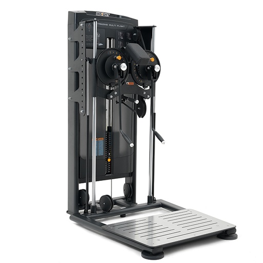 Insight Fitness | RE8034 STANDING MULTI FLIGHT