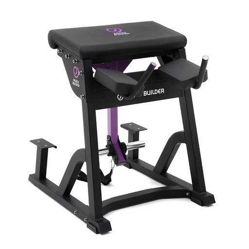 Insight Fitness | PB407 REVERSE HYPER