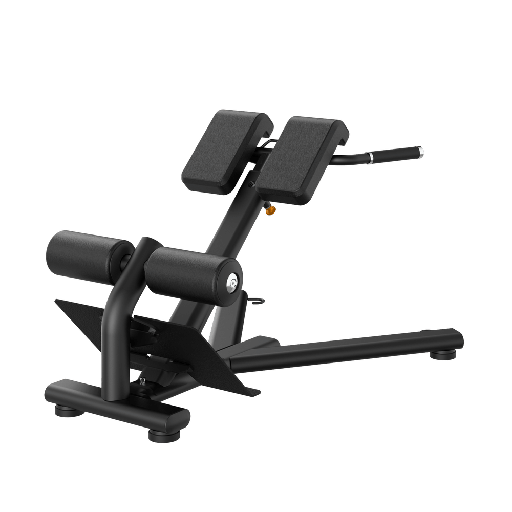 BACK EXTENSION | RE6010
